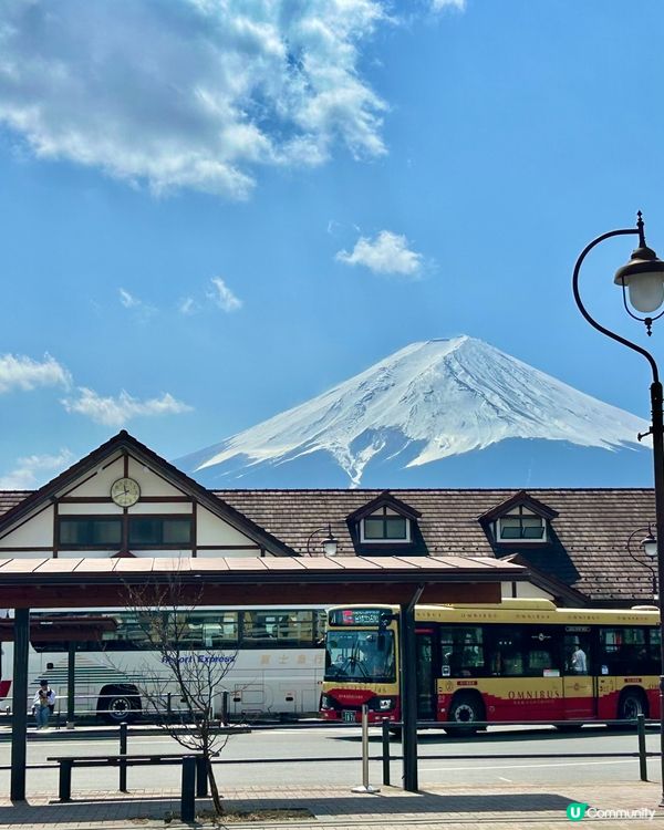 ✈️日本東京近郊～河口湖🗻富士山放題