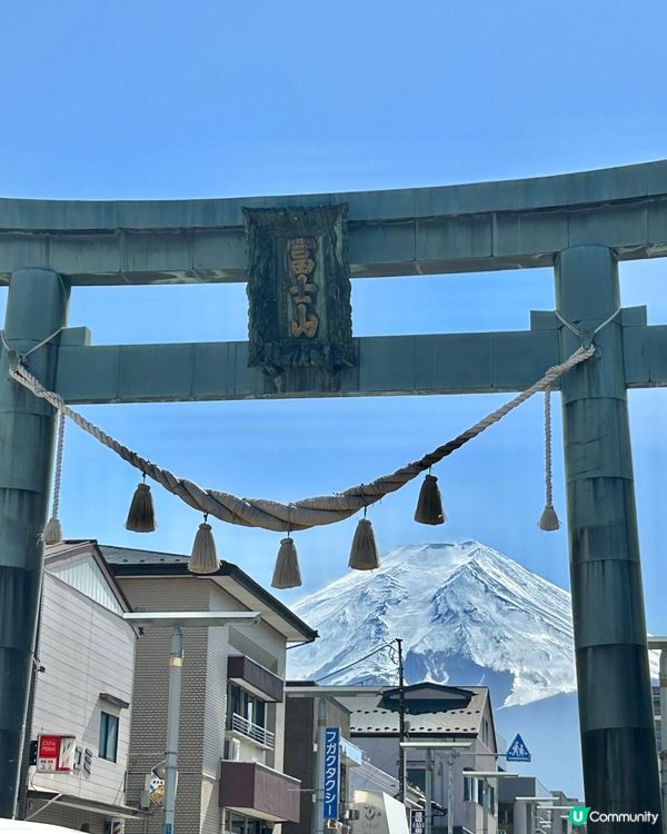 ✈️日本東京近郊～河口湖🗻富士山放題