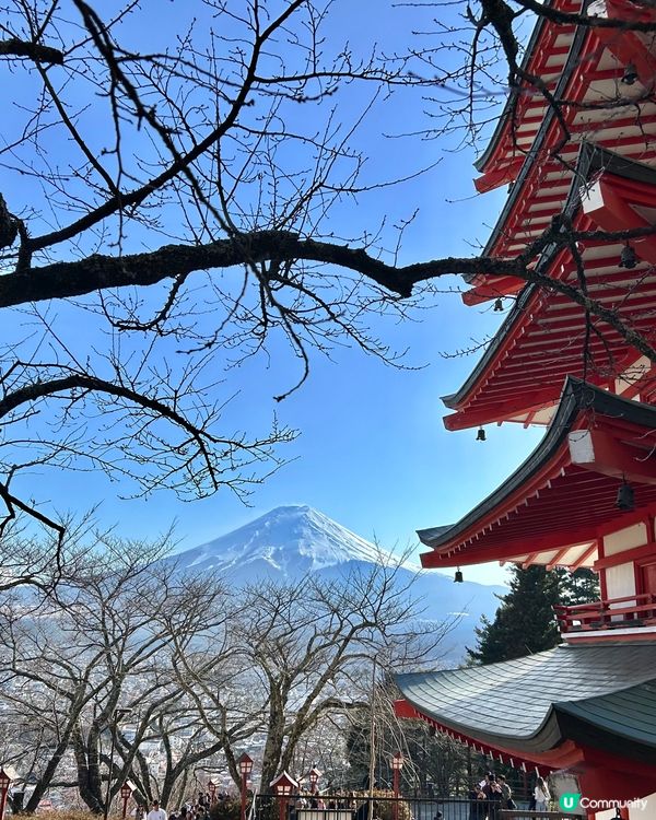 ✈️日本東京近郊～河口湖🗻富士山放題