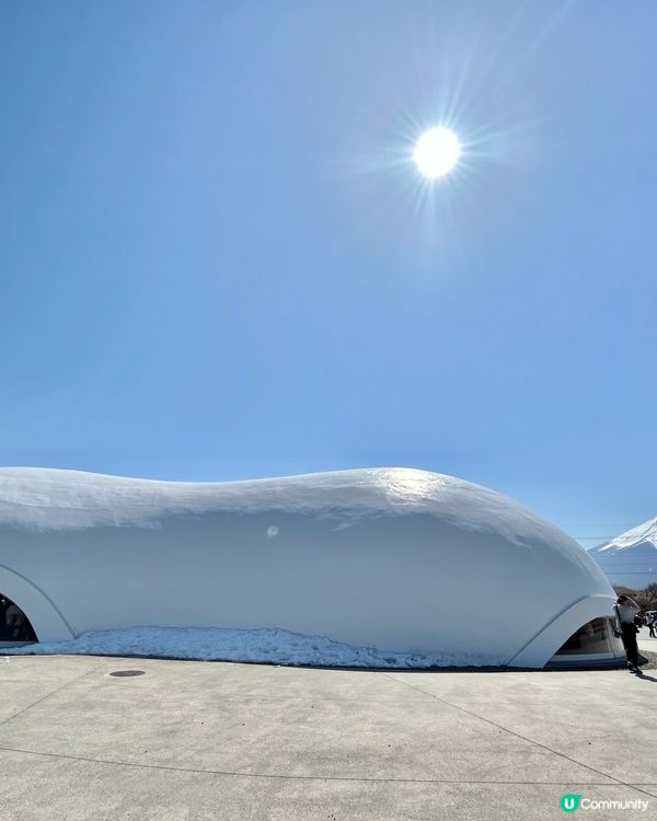 ✈️日本東京近郊～河口湖🗻富士山放題