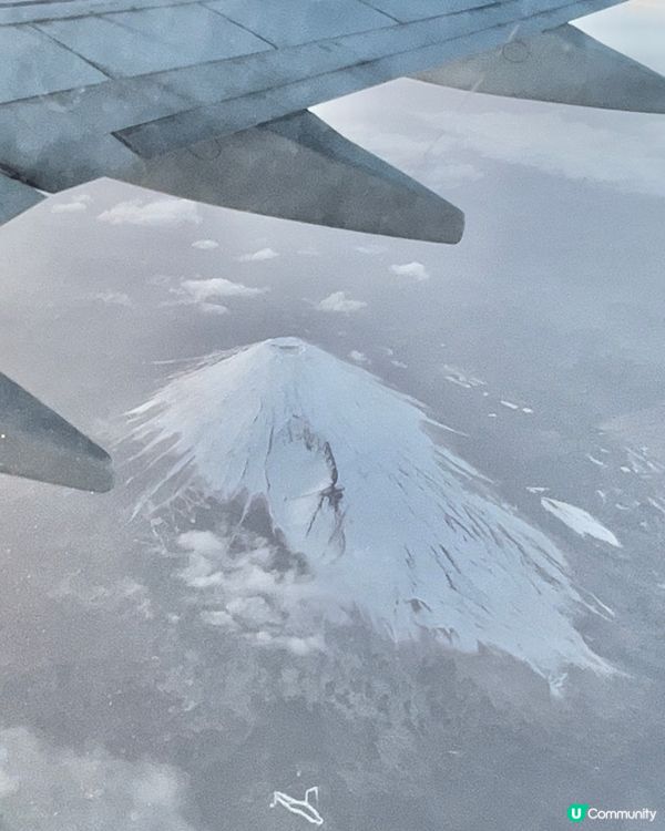 ✈️日本東京近郊～河口湖🗻富士山放題