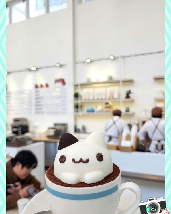 不可以吃貓貓🥰全臺最可愛cafe