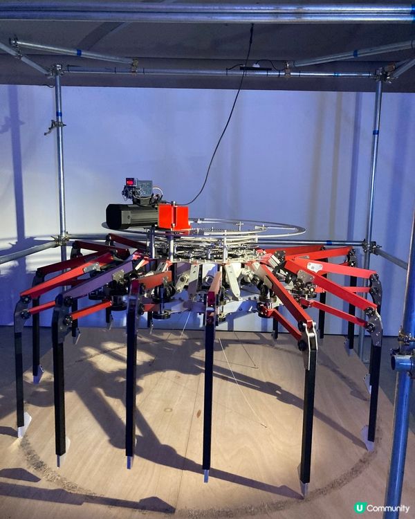 城市大學的藝術展覽