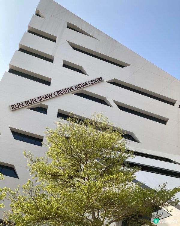 城市大學的藝術展覽