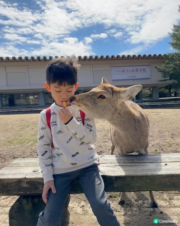 大阪、奈良、天橋立親子美食之旅