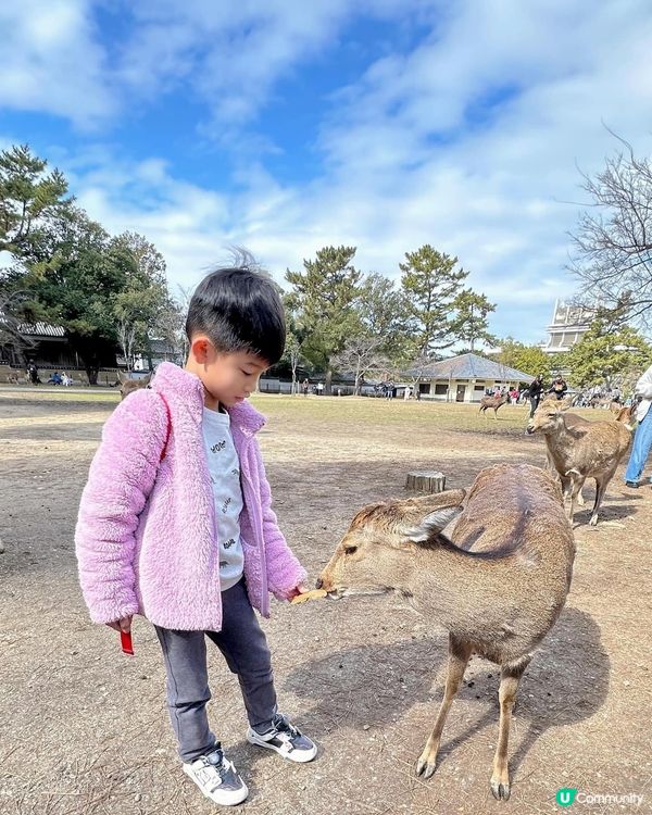 大阪、奈良、天橋立親子美食之旅