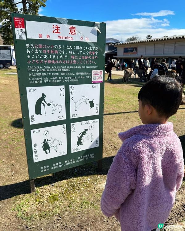 大阪、奈良、天橋立親子美食之旅