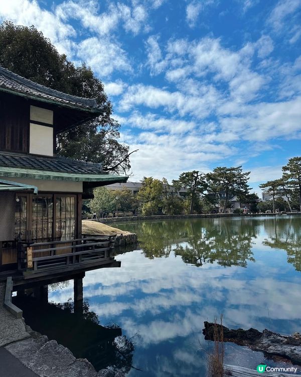 大阪、奈良、天橋立親子美食之旅