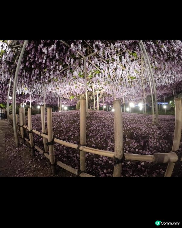 真係人生最少要去一次概景點。