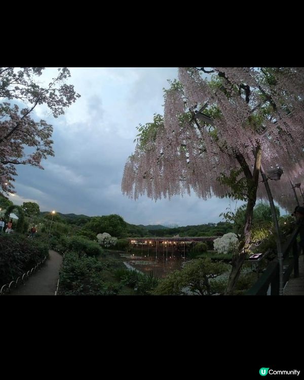 真係人生最少要去一次概景點。