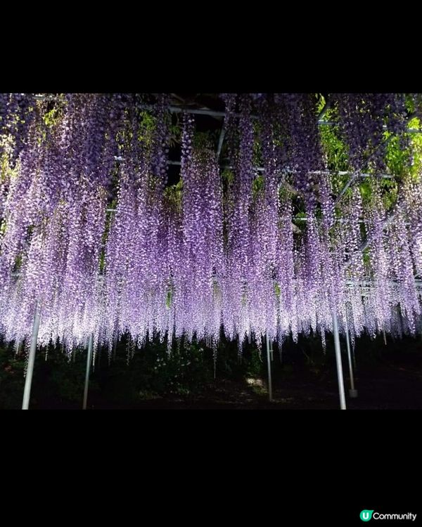 真係人生最少要去一次概景點。