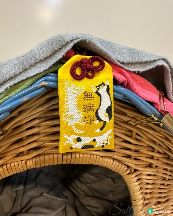給貓主子的無病守