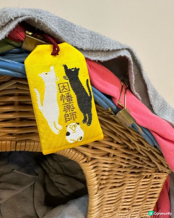 給貓主子的無病守