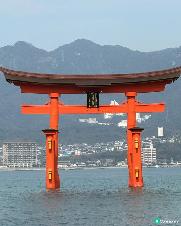 水中鳥居⛩️美麗的巖島神社