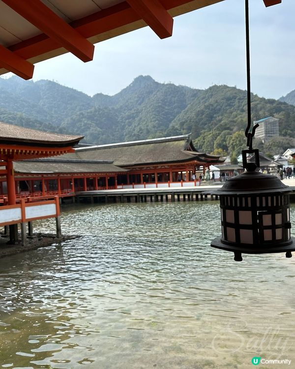 水中鳥居⛩️美麗的巖島神社