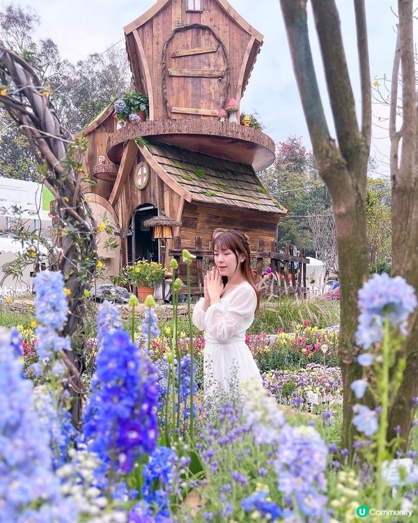 花展必影打卡位🤗❤️