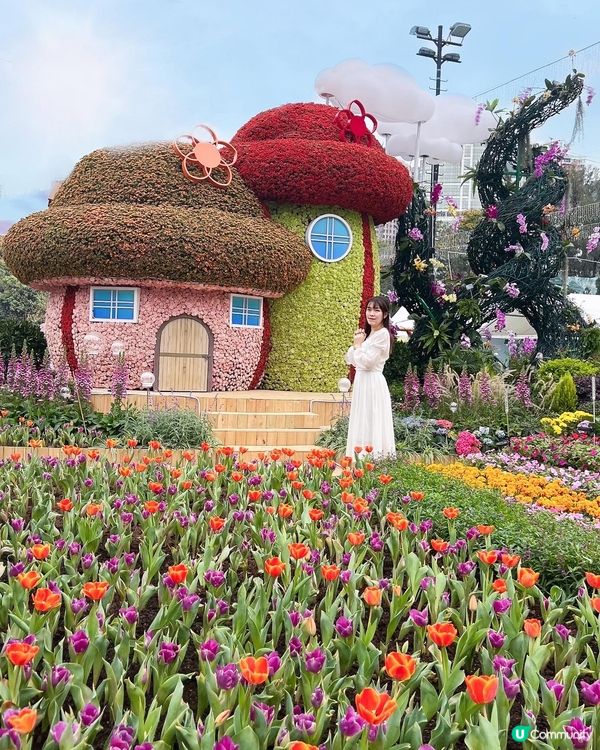 花展必影打卡位🤗❤️