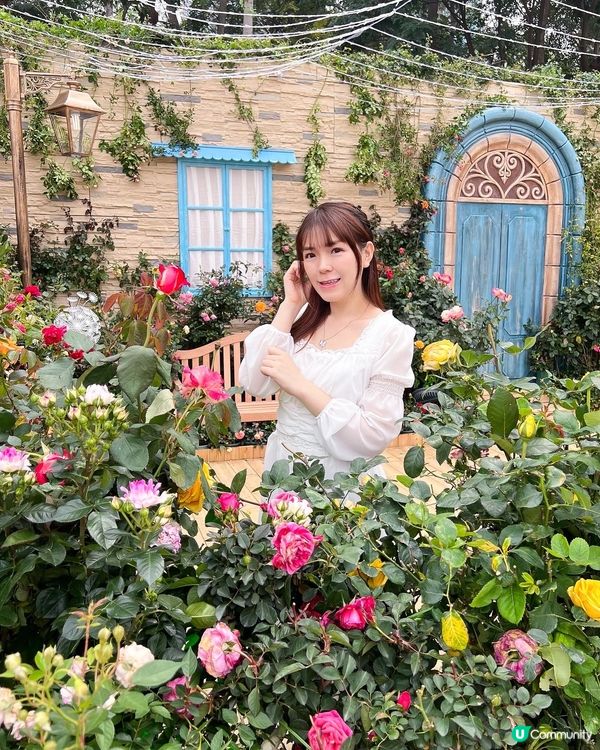 花展必影打卡位🤗❤️