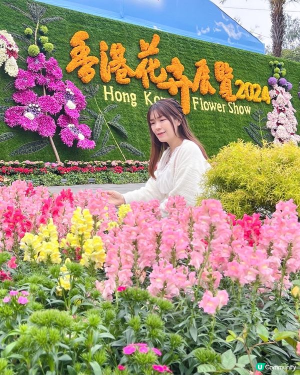 花展必影打卡位🤗❤️