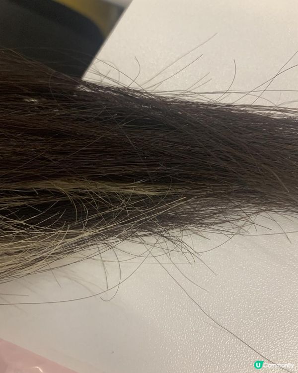 高性價比護髮用品介紹