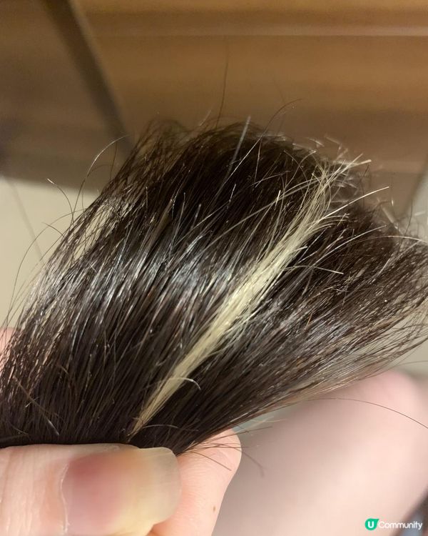 高性價比護髮用品介紹