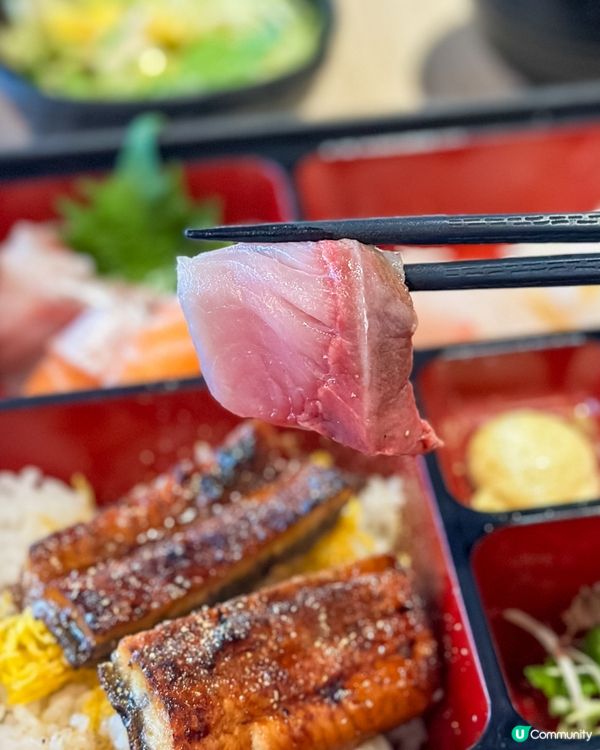 黃埔新開日本料理 🍱