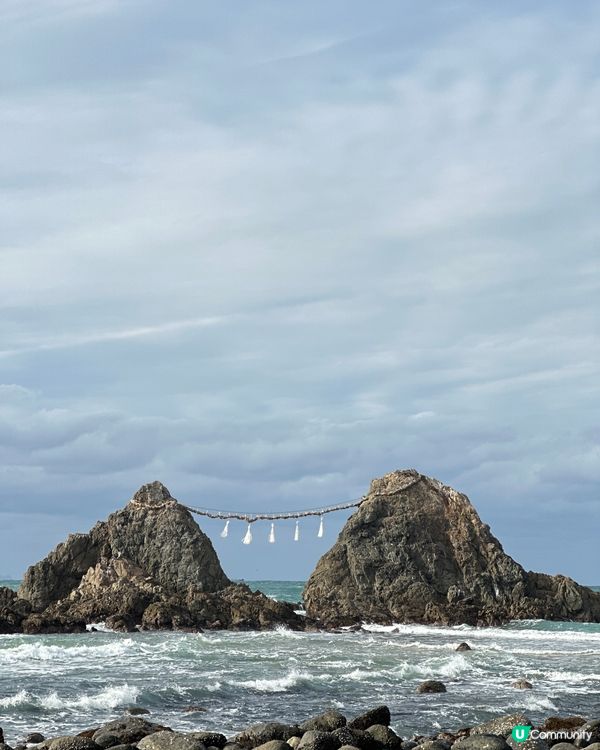 好特別的白色鳥居 