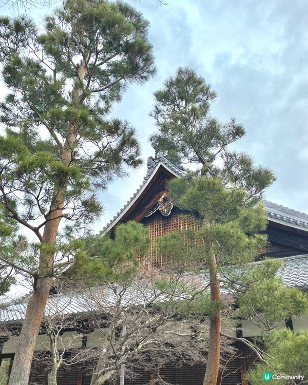 【京都遊嵐山】天龍寺🇯🇵禪意洗滌心靈之旅