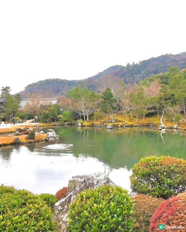 【京都遊嵐山】天龍寺🇯🇵禪意洗滌心靈之旅