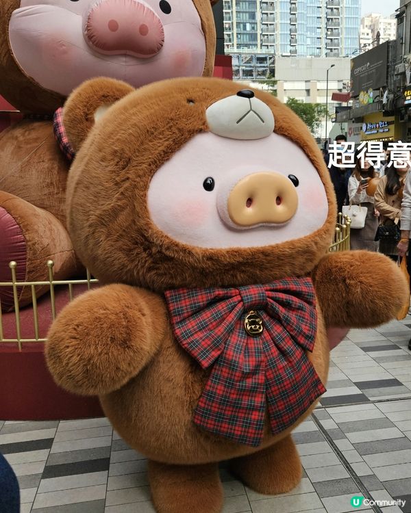 「萌」癒LuLu豬粉💫