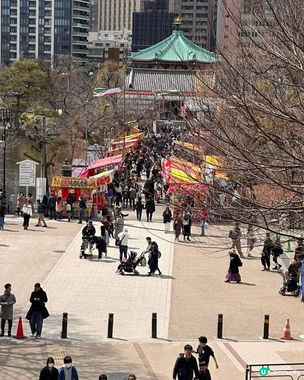 東京上野公園櫻花祭