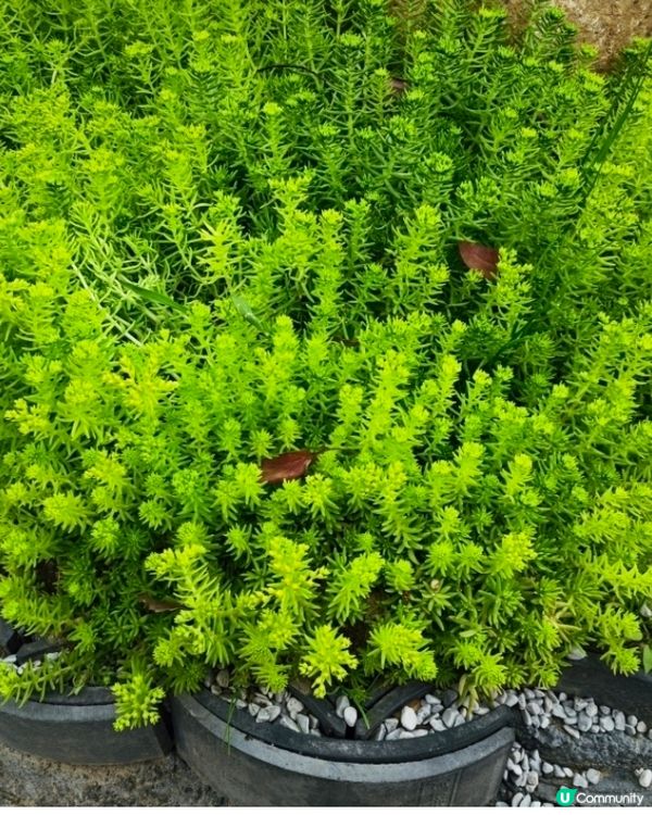 泉州五店市 - 休閒好去處