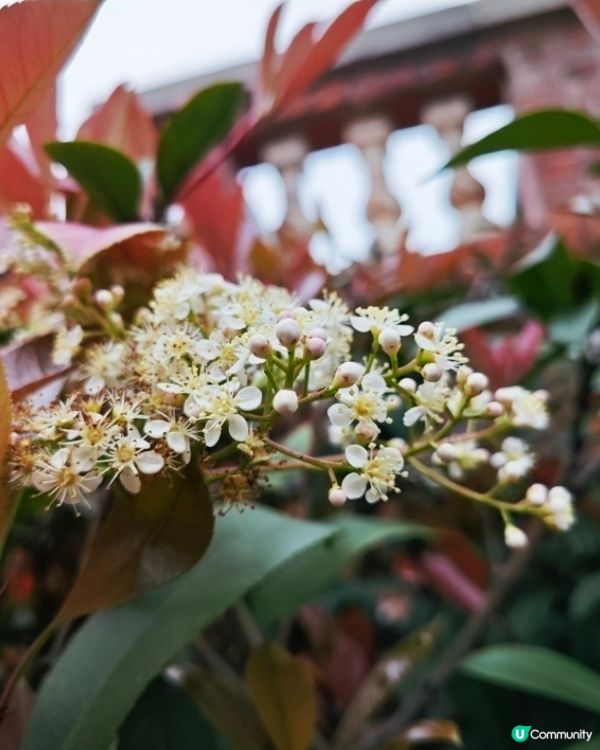 泉州五店市 - 休閒好去處