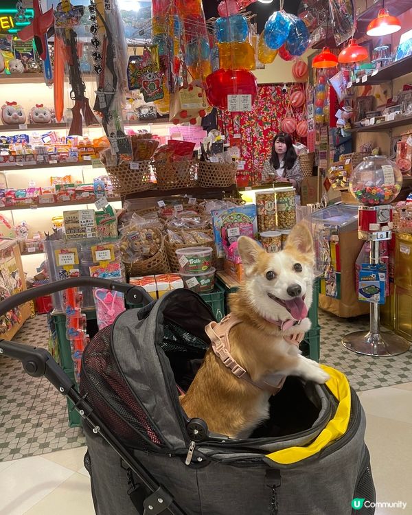 秋意下坐戶外餐廳