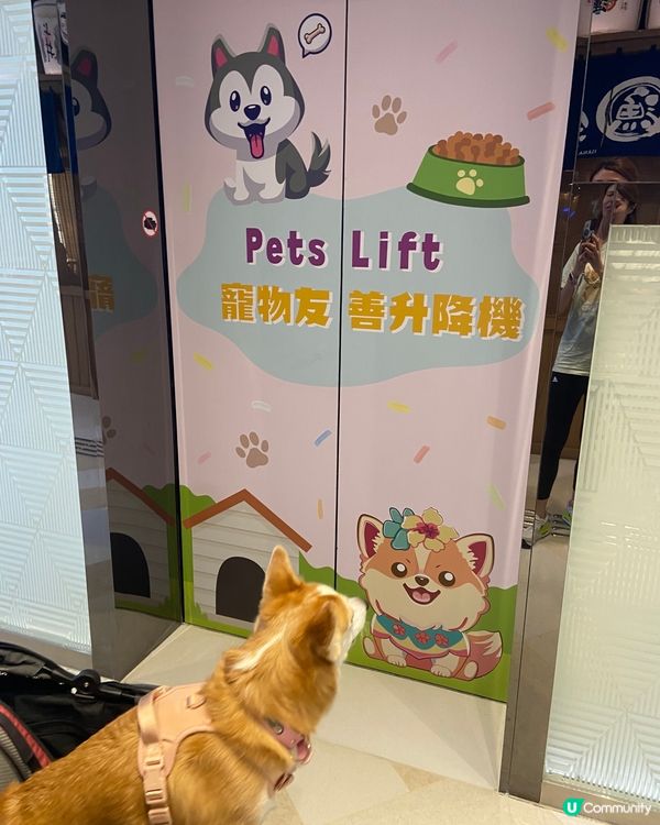 秋意下坐戶外餐廳