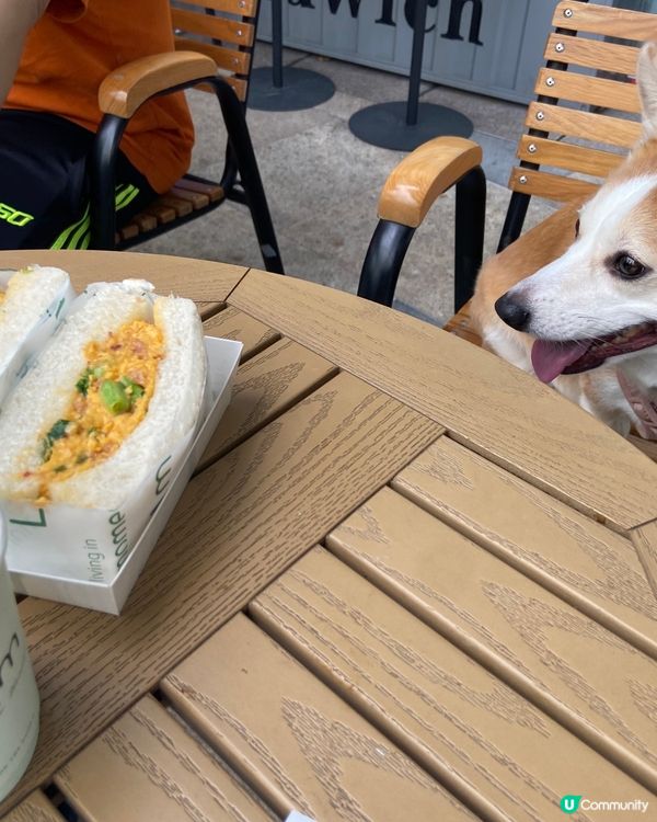 秋意下坐戶外餐廳