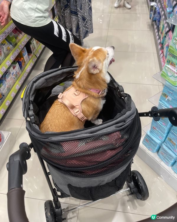 秋意下坐戶外餐廳