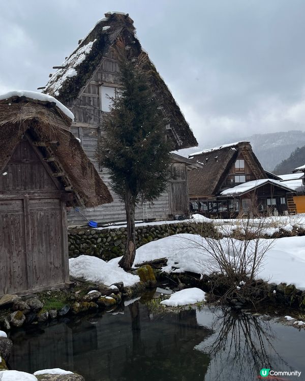 大雪後晴天既白川鄉