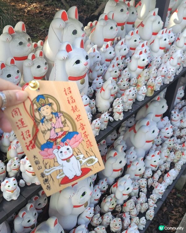 豪德寺 貓貓神社