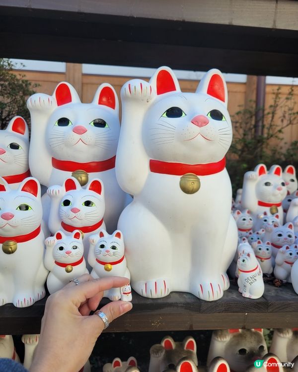 豪德寺 貓貓神社