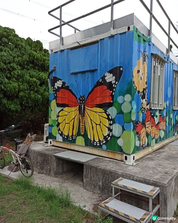 屯門小冷水蝴蝶保育區