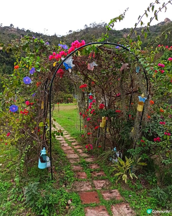 屯門小冷水蝴蝶保育區