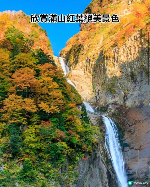 2025立山黑部最新開山時間!四季行程全攻略☀️內附氣溫+穿搭建議