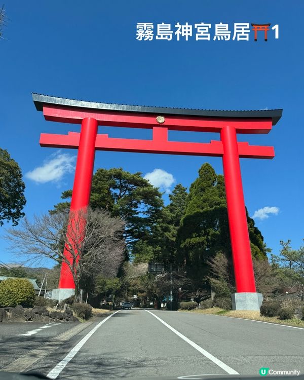 霧島神宮賞櫻🌸花