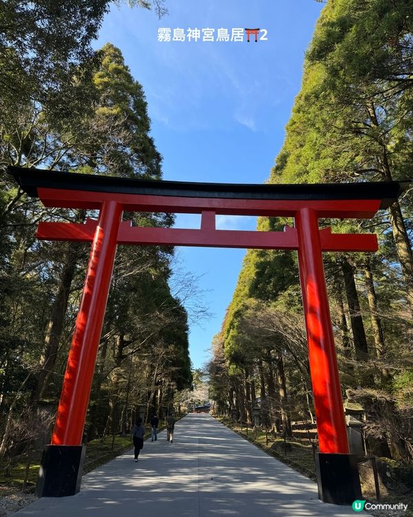 霧島神宮賞櫻🌸花