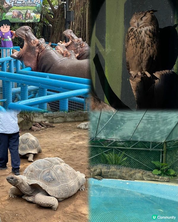 【廣州長隆超放電之旅 - Part 1】