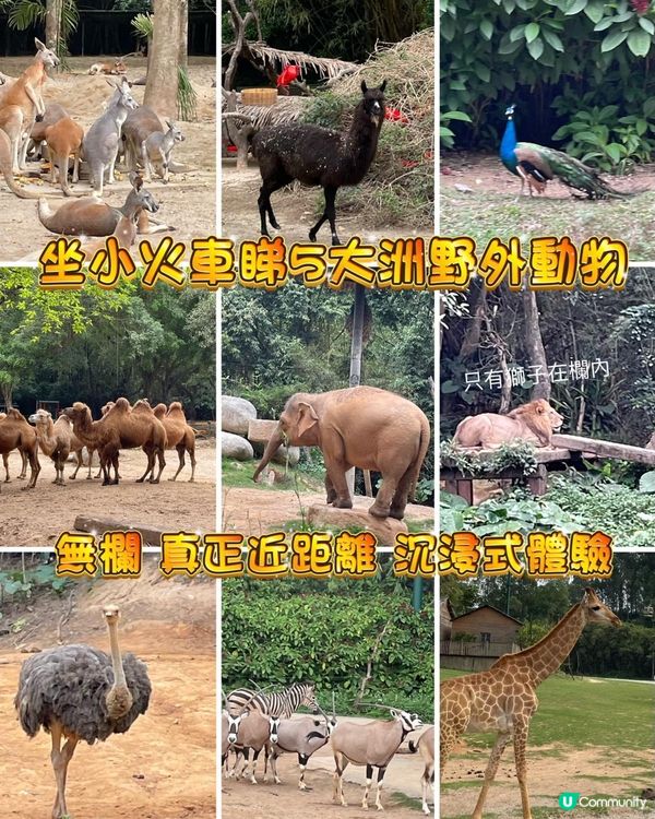 【廣州長隆超放電之旅 - Part 1】