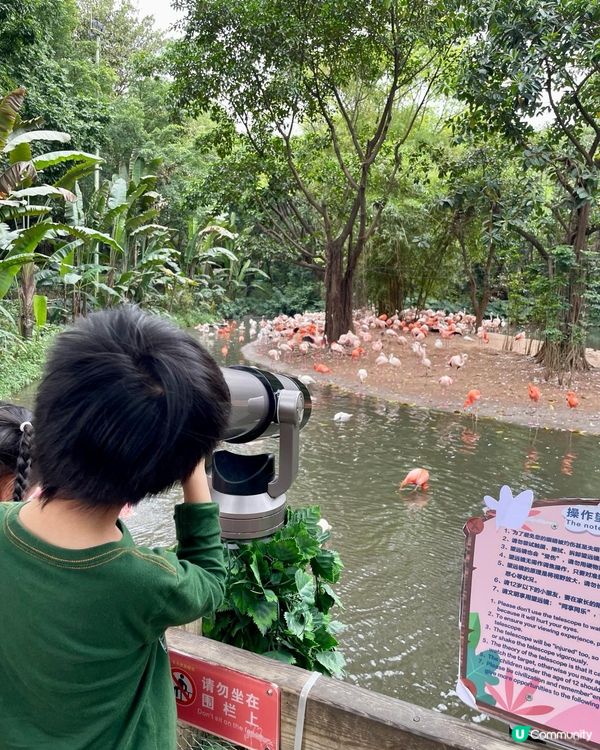 【廣州長隆超放電之旅 - Part 1】