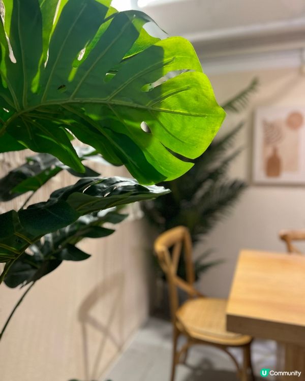 波希米亞風cafe，多個打咭位