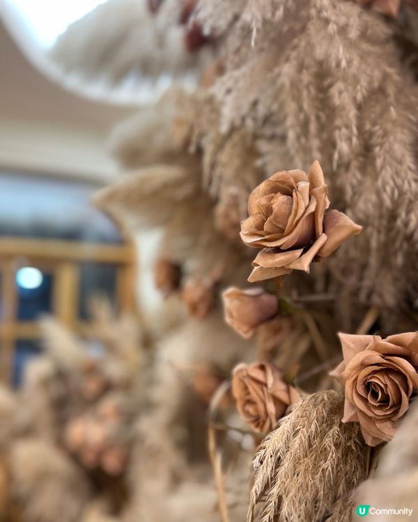 波希米亞風cafe，多個打咭位